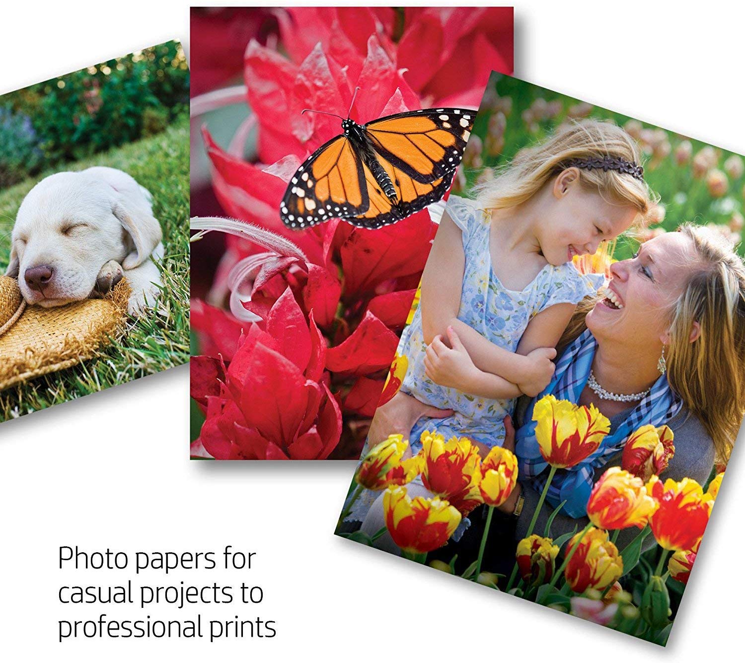 10 Best Inkjet Photo Paper [UK]